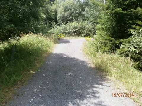 Foto 42